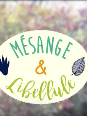 Mésange et Libellule